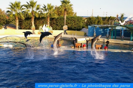 Marineland Antibes - 002