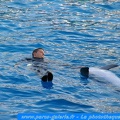 Marineland Antibes - 018