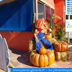 Marineland - Decors Halloween