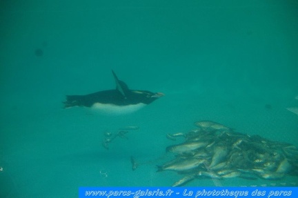 Marineland Antibes - 001