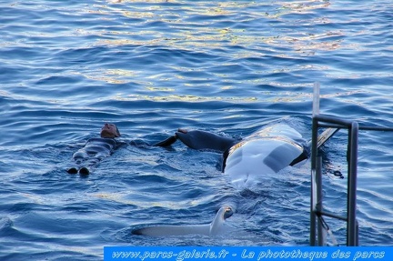 Marineland Antibes - 004