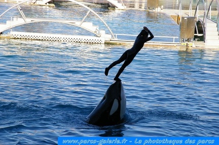 Marineland Antibes - 005