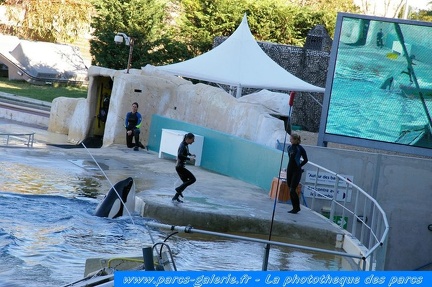 Marineland Antibes - 006