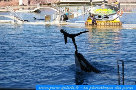 Marineland Antibes - 007