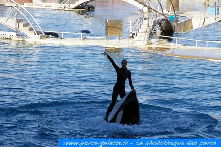 Marineland Antibes - 008