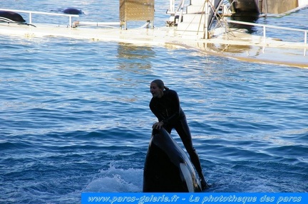 Marineland Antibes - 009