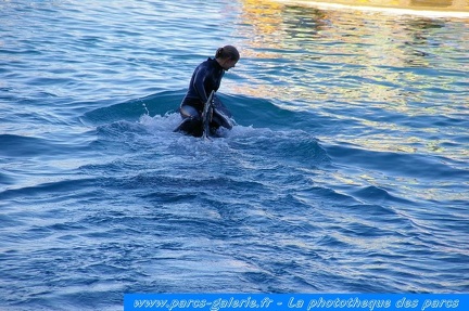 Marineland Antibes - 011