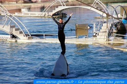 Marineland Antibes - 013