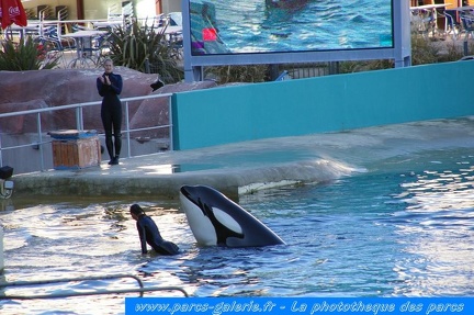 Marineland Antibes - 014