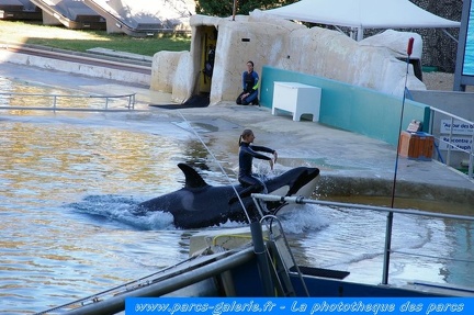 Marineland Antibes - 015