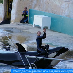 Marineland - Orques - Spectacle de 15h00