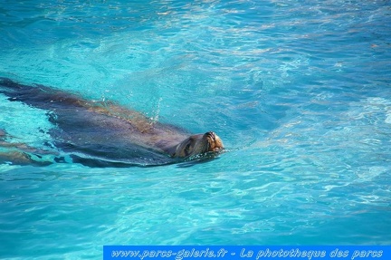 Marineland Antibes - 001