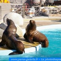 Marineland Antibes - 018