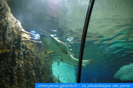 Marineland Antibes - 001