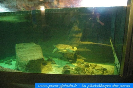 Marineland Antibes - 001