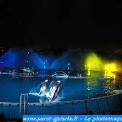 Marineland - orques - spectacle nocturne Halloween