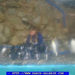 07 - Marineland - 11 Novembre 2007
