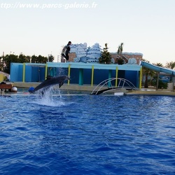 Marineland - Dauphins - Apprentissage