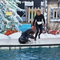 Marineland Antibes - 037