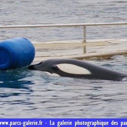 01 - Marineland - 02 Janvier 2008