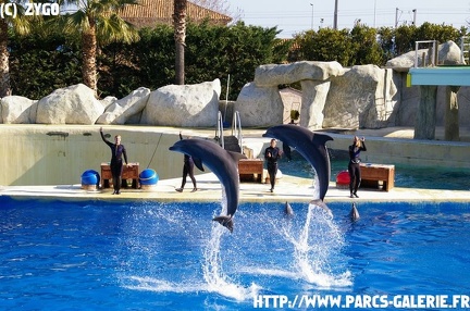 Marineland - 002