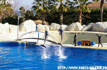 Marineland - 003