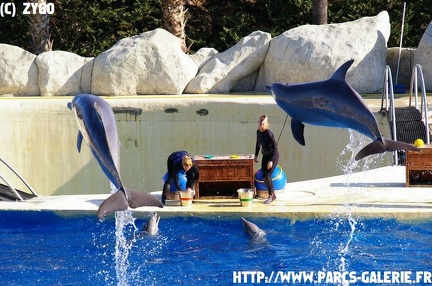 Marineland - 004