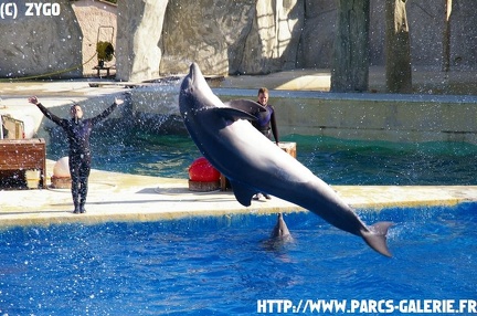 Marineland - 005