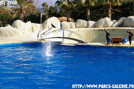 Marineland - 006