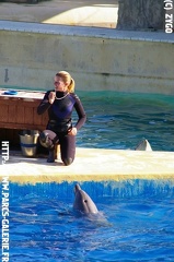 Marineland - 007