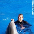 Marineland - 009