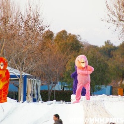 03 - Marineland - 10 fevrier 2008