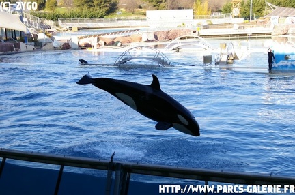 Marineland - 002