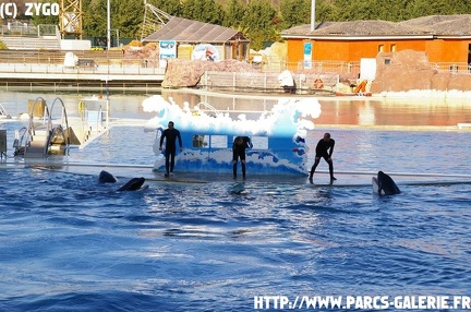 Marineland - 003