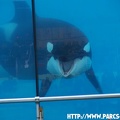 Marineland - 009