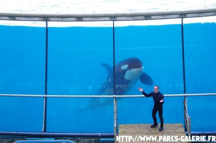 Marineland - 010