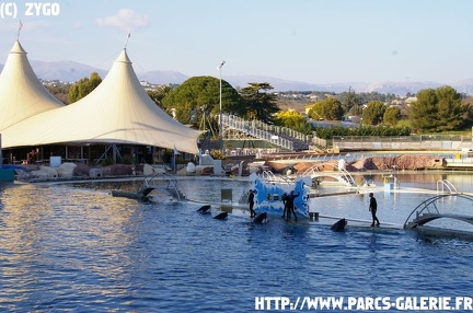 Marineland - 012