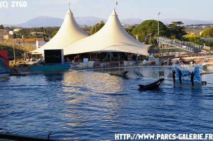 Marineland - 013