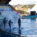 Marineland - 014