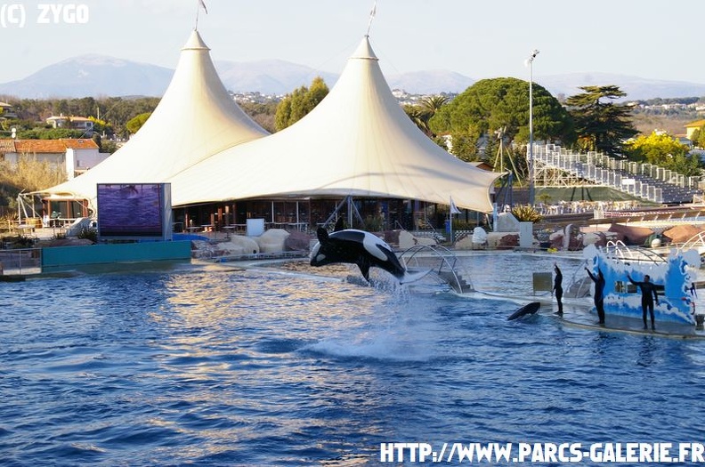 Marineland - 015