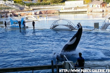 Marineland - 016