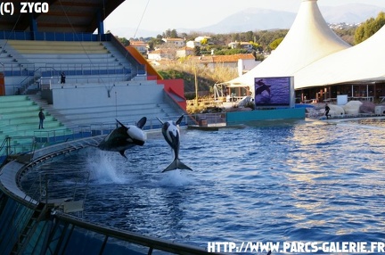 Marineland - 017