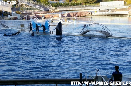 Marineland - 018