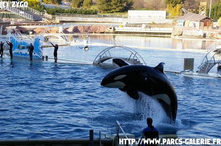 Marineland - 019