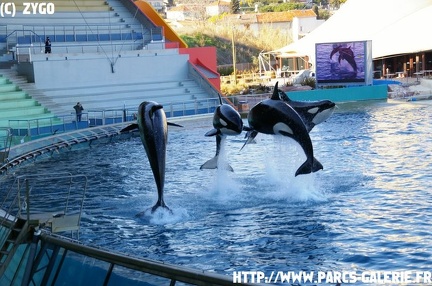 Marineland - 020