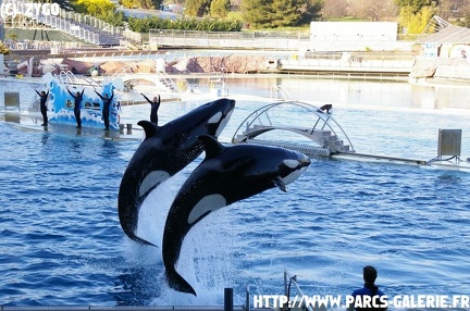 Marineland - 021