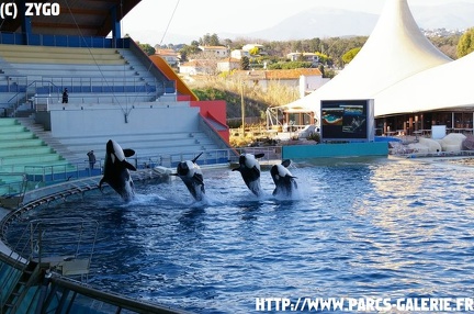 Marineland - 022