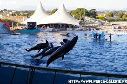 Marineland - 023