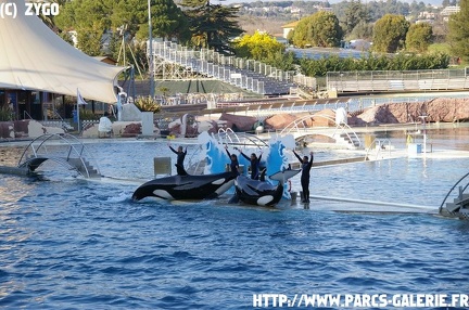 Marineland - 024