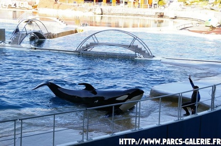 Marineland - 025